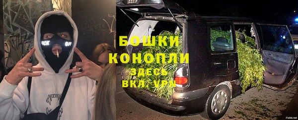 прущие крисы Аркадак
