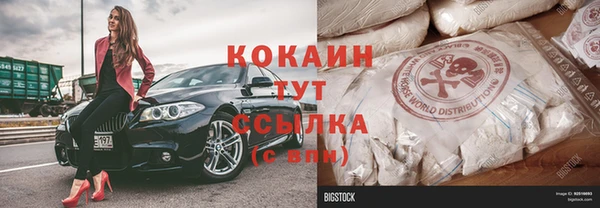 индика Алзамай